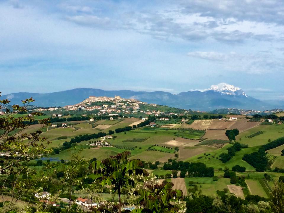 vacri panorama 2015 1