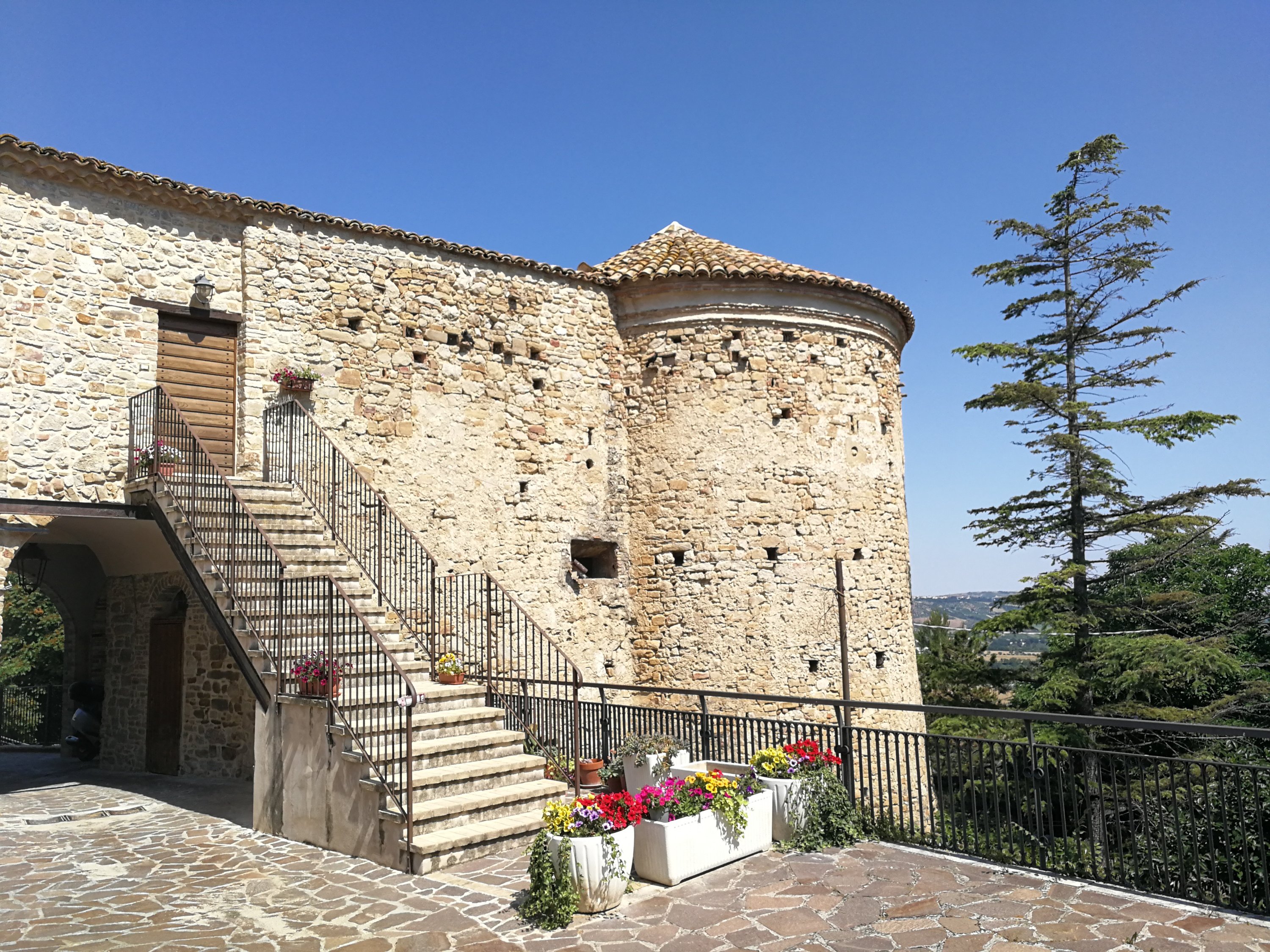 img_20220612_1043143680284603416770401