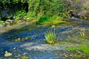 Natural Reserve of Springs of the Pescara River - Popoli, November 2015