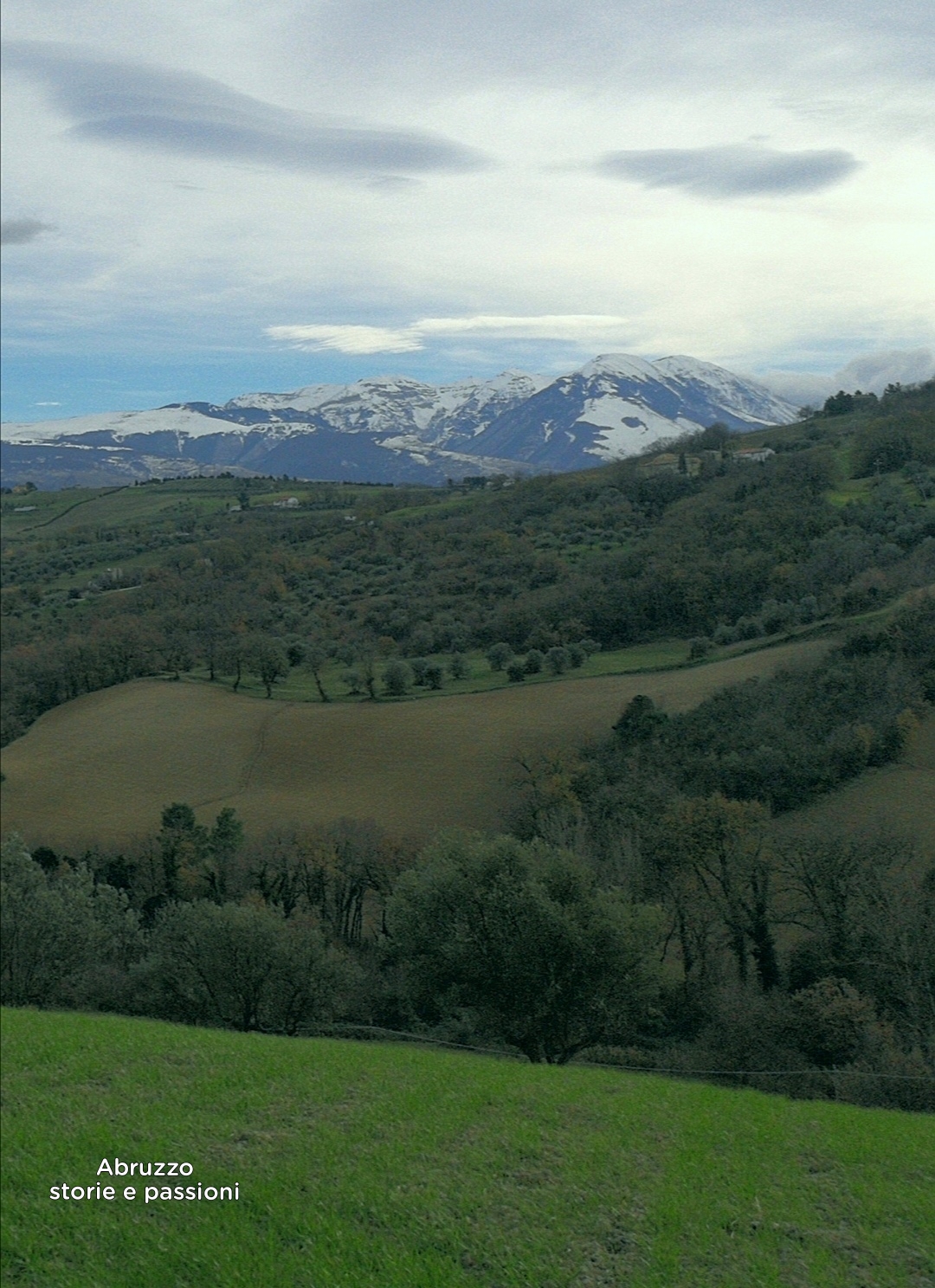 Watermark_1673795828385