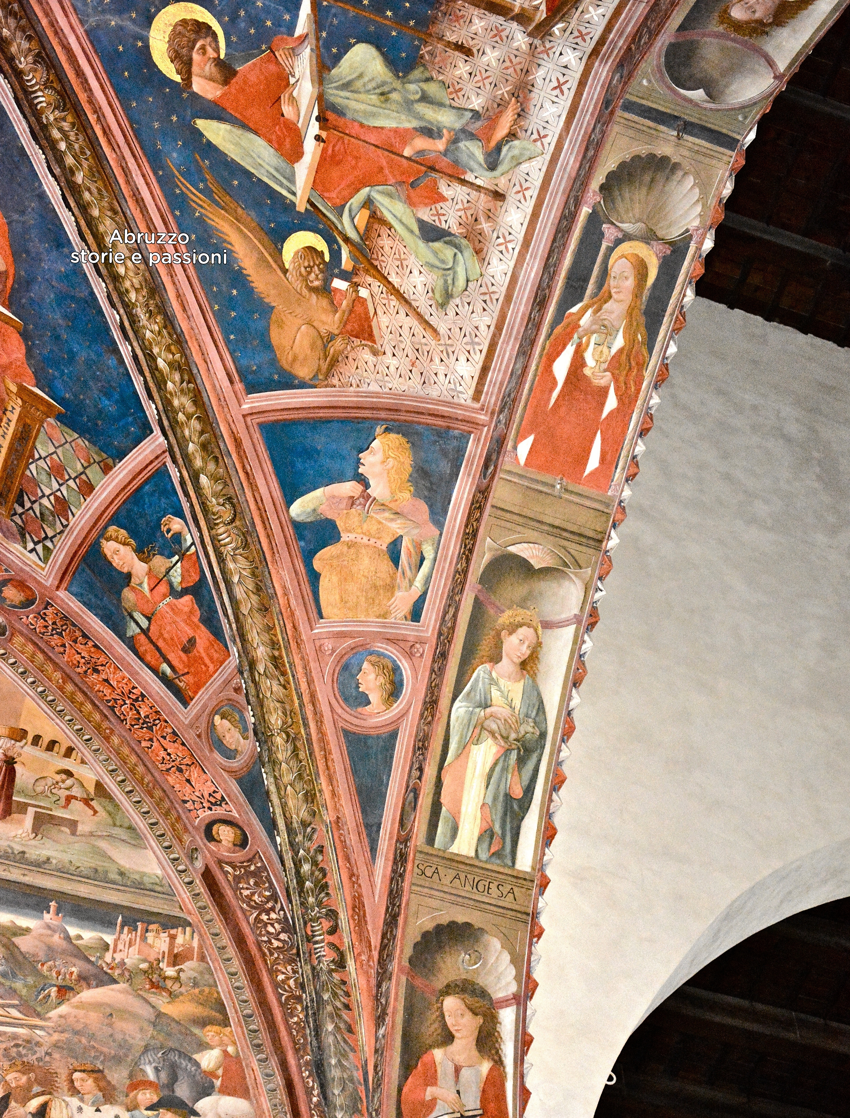 Watermark_1674693024821